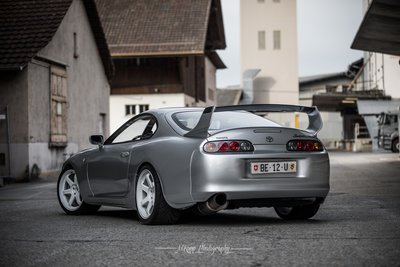 supra 17 (1 von 1).jpg