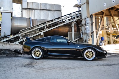 supra (77).jpg