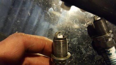 20170418_164619.jpeg
