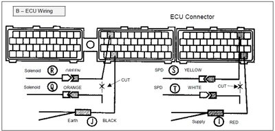 SLDT6_B-ECU.jpg